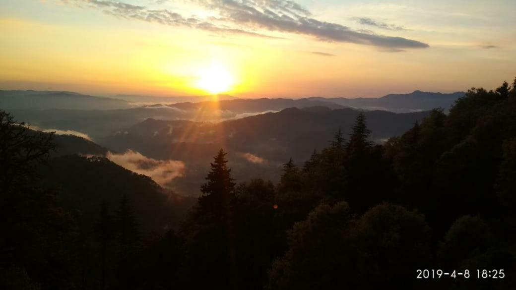 Simba Cafe & Lodge Binsar Luaran gambar